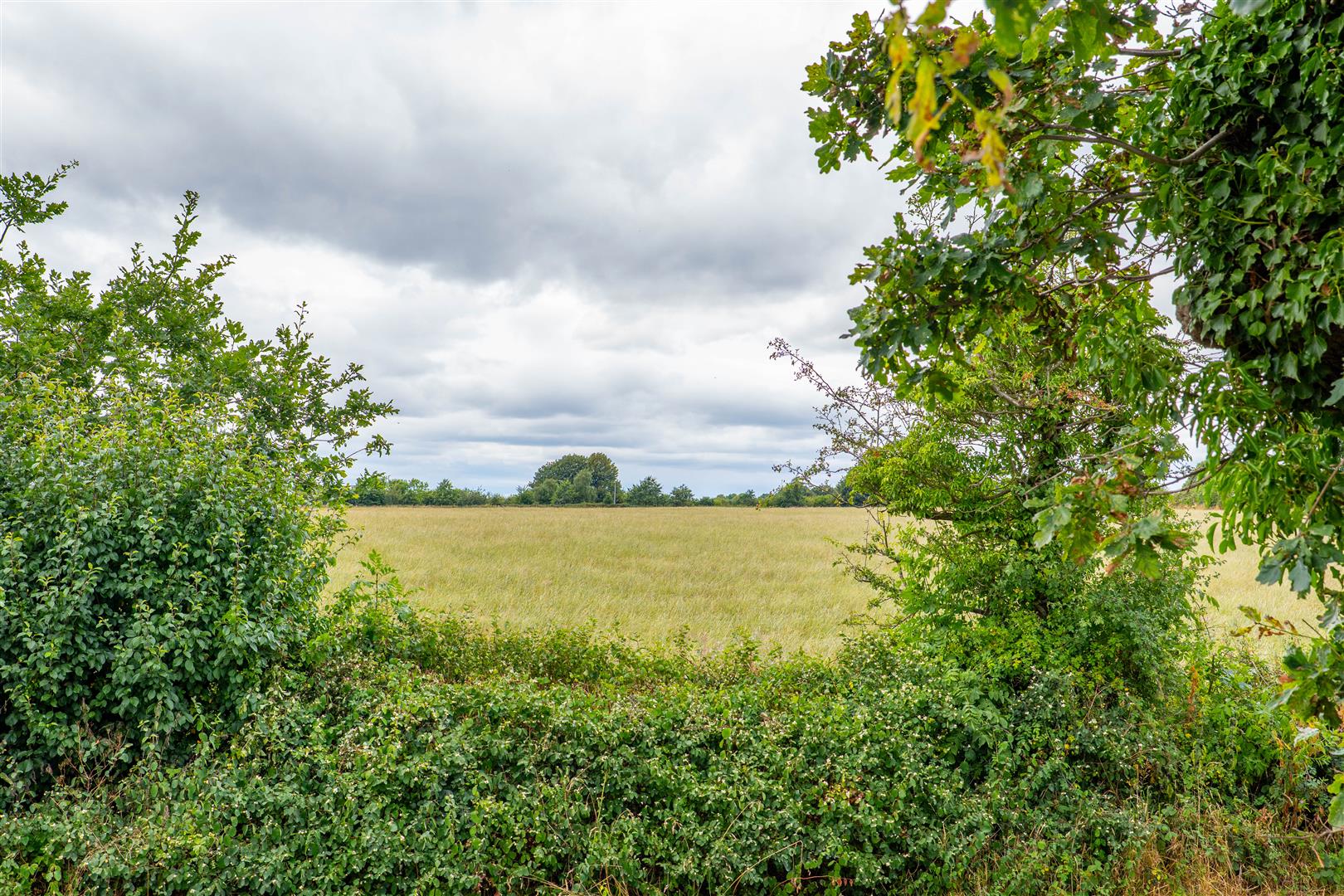 Cedar Avenue, Euxton, Chorley